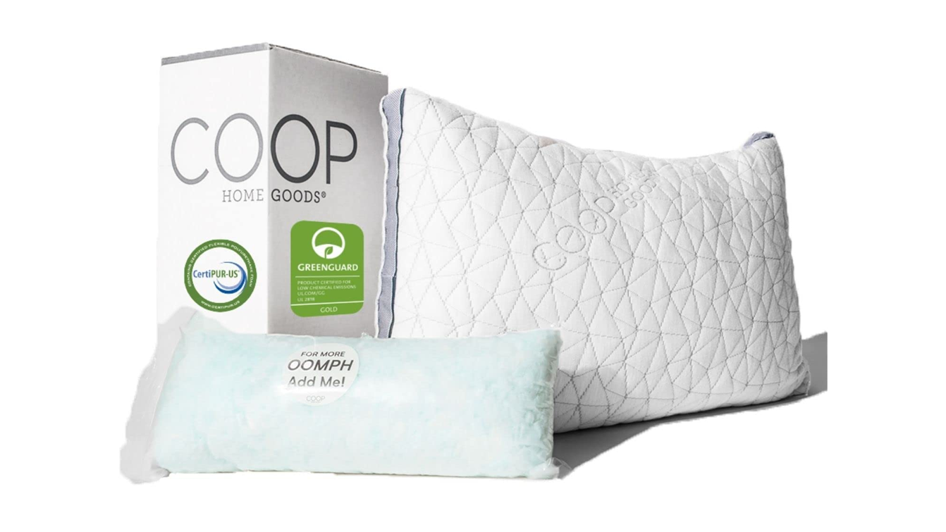 9. Coop Home Goods Eden Pillow 
